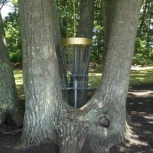 Meet your Posher, Vic